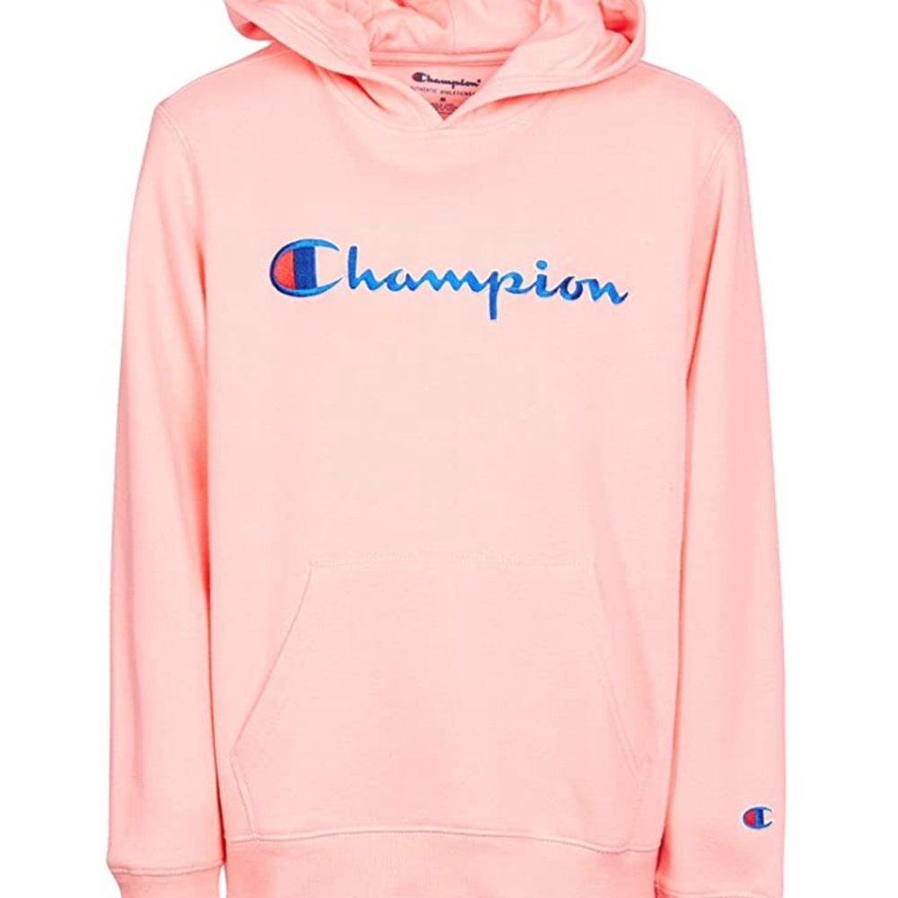 Champion Fleece Hoodie NWOT
